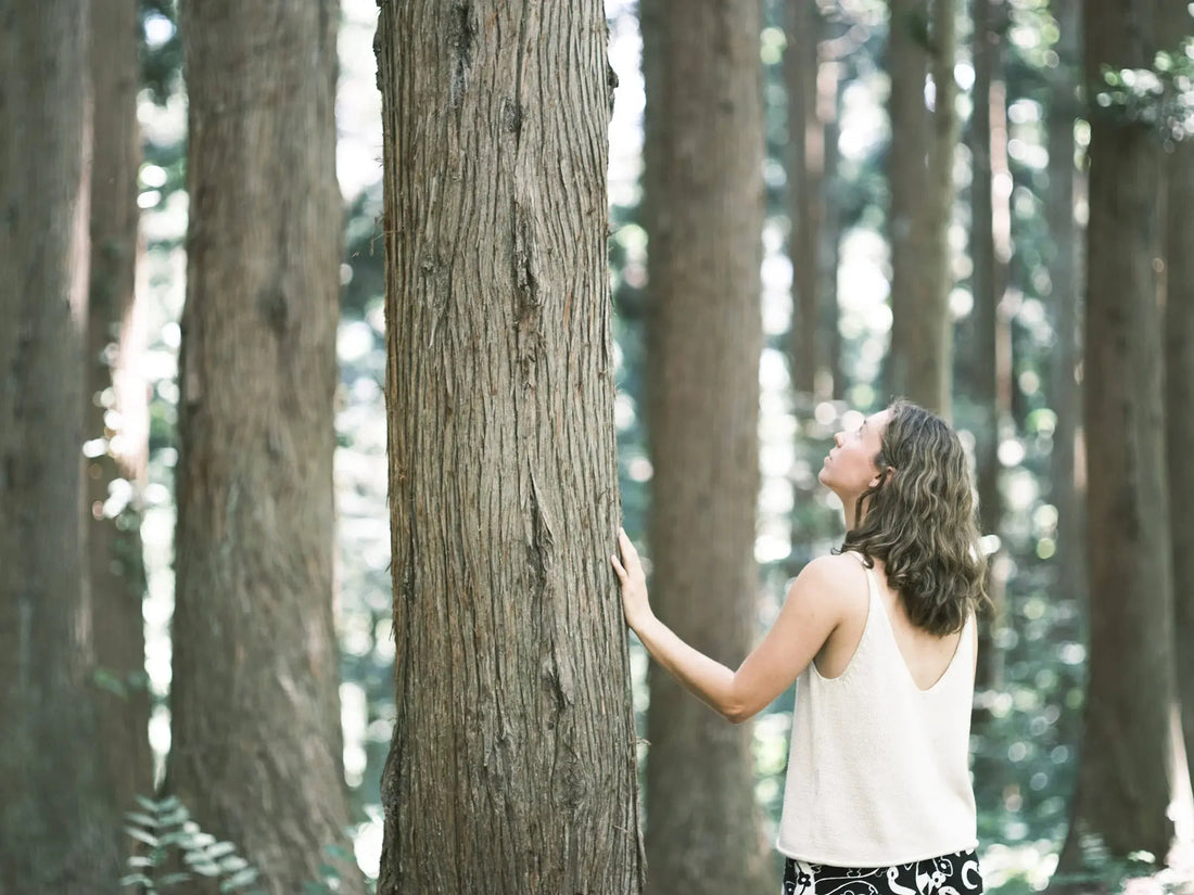 The Art of Forest Bathing with Myoko Embodied - Myoko embodied