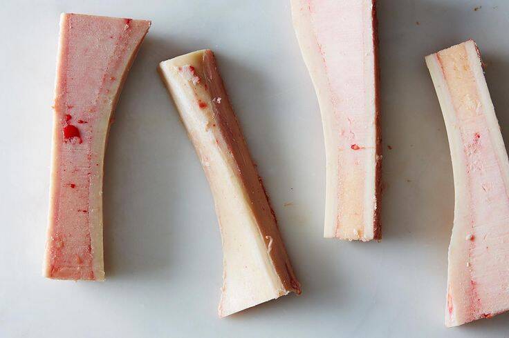 Bone marrow