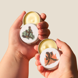 Tallow Sample Pack Myoko embodied