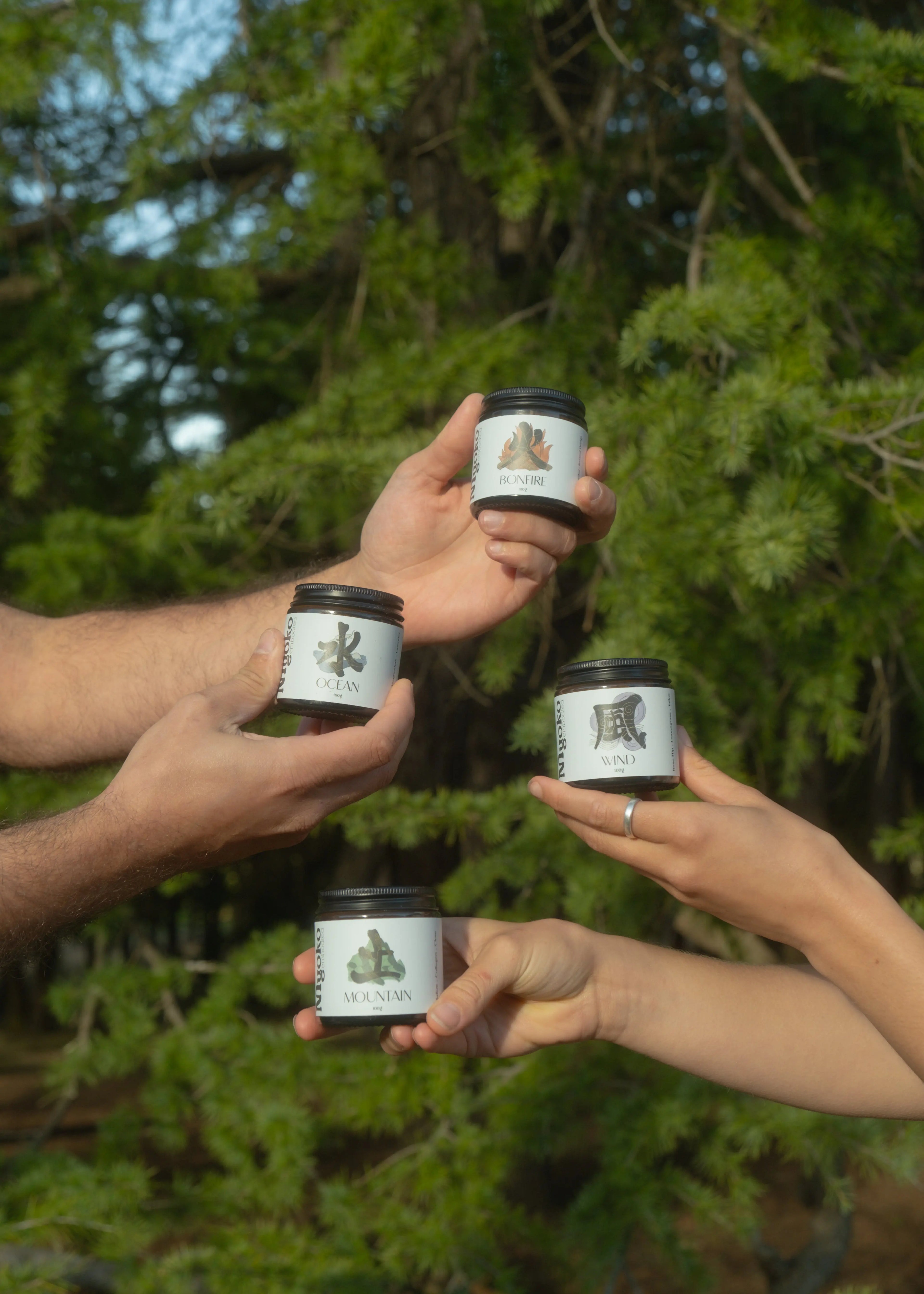 Four hands holding jars of tallow cream with labels against a green forest background